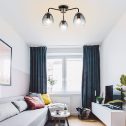 Cosylyte Malanda 3 Light Smoky Glass Matt Black Ceiling Light - Size: 18.5 x 41 x 37cm - Wilko - thumbnail 7