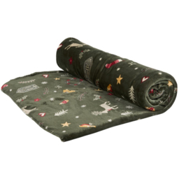Winter Wishes Sherpa Throw  - Green - Wilko - thumbnail 5