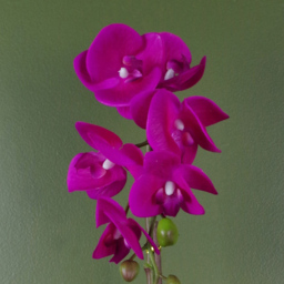 Botanik Dark Pink Orchid Artificial Plant in Silver Pot 46cm - Size: 46 x 15 x 15cm - Wilko - thumbnail 4