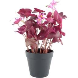 Botanik Purple Shamrock Pink Flowers Artificial Plant in Pot 30cm - Size: 30 x 20 x 20cm - Wilko