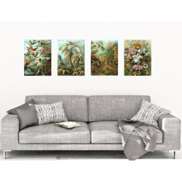 Artery8 Vintage Ernst Haeckel Flora and Fauna Wall Art Print 30 x 41cm 4 Pack - Size: 40.5 x 30.5 x 0.3cm - Multi - Wilko - thumbnail 3