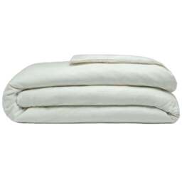 Serene Single Apple Green Brushed Cotton Duvet Cover - Wilko