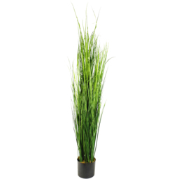 Leaf Natural Onion Artificial Grass Plant in Plastic Pot 4.2ft - Size: 130 x 30 x 30cm - Green - Wilko
