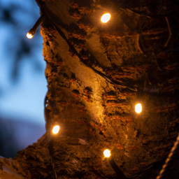 GardenKraft 200 Bulbs Warm White LED Solar String Light - Size: 8 x 22.5 x 12cm - Multi - Wilko - thumbnail 5