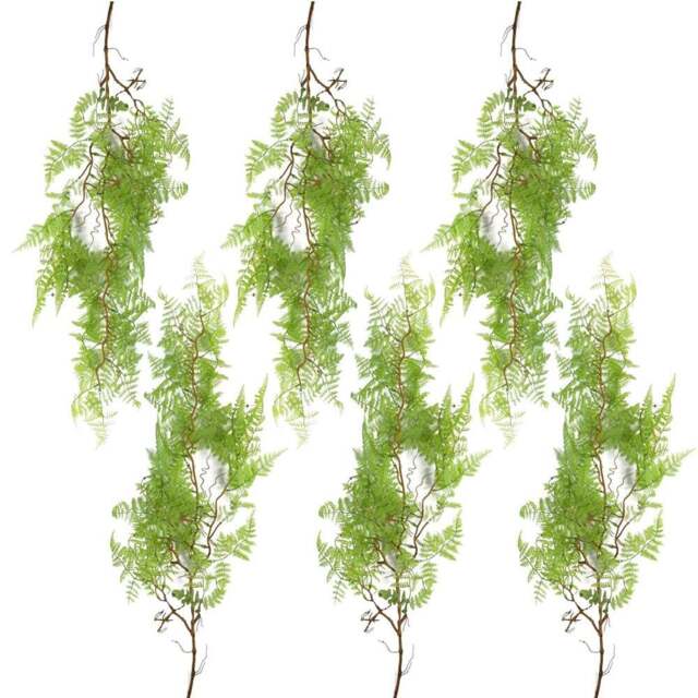Leaf Light Green Maidenhair Fern Hanging Artificial Plant 100cm 6 Pack - Size: 100 x 30 x 2cm - Wilko - image 1