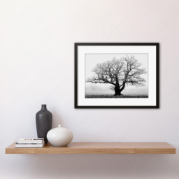 Wee Blue Coo Black and White Old Oak Tree Mist Fog Photo Framed Wall Art Print 30 x 41cm - Size: 43.3 x 33.3 x 1.5cm - Grey - Wilko - thumbnail 3