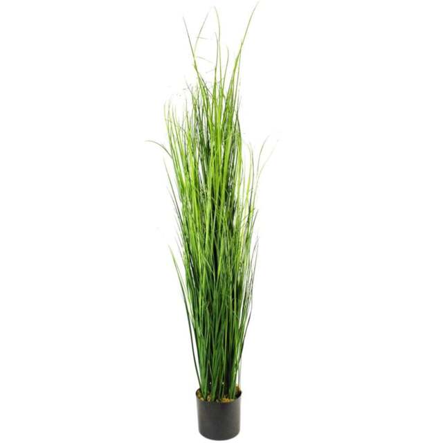 Leaf Onion Grass Artificial Plant in Pot 130cm - Size: 130 x 30 x 30cm - Green - Wilko - image 1