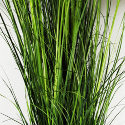 Leaf Onion Grass Artificial Plant in Pot 130cm - Size: 130 x 30 x 30cm - Green - Wilko - thumbnail 3