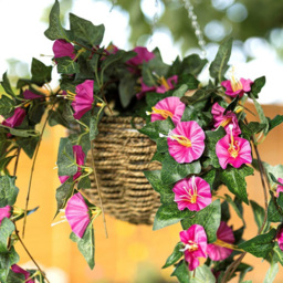Marco Paul Purple Hanging Basket - Size: 24 x 15 x 15cm - Wilko - thumbnail 5