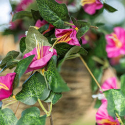 Marco Paul Purple Hanging Basket - Size: 24 x 15 x 15cm - Wilko - thumbnail 6