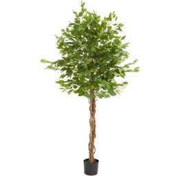 tectake Artificial Ficus Tree in Pot 180cm - Size: 180 x 70 x 70cm - Green - Wilko - thumbnail 1