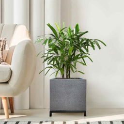 wilko Hammered Stone Light Grey Indoor Planter on Metal Stand 35cm - Instadecor - thumbnail 4