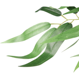 Leaf Artificial Green Bamboo Plant Pot 120cm - Size: 120 x 60 x 60cm - Wilko - thumbnail 5