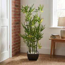 Artificial Green Bamboo Plant in Black Terracotta Pot with Pebbles - Wilko - thumbnail 7