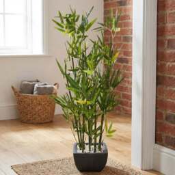 Artificial Green Bamboo Plant in Black Terracotta Pot with Pebbles - Wilko - thumbnail 4