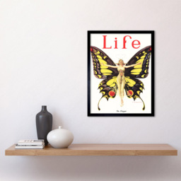 Wee Blue Coo 1922 Life Butterfly Flapper Dancer Magazine Framed Wall Art Print 30 x 41cm - Size: 43.3 x 33.3 x 1.5cm - Yellow - Wilko - thumbnail 3