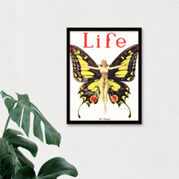 Wee Blue Coo 1922 Life Butterfly Flapper Dancer Magazine Framed Wall Art Print 30 x 41cm - Size: 43.3 x 33.3 x 1.5cm - Yellow - Wilko - thumbnail 4