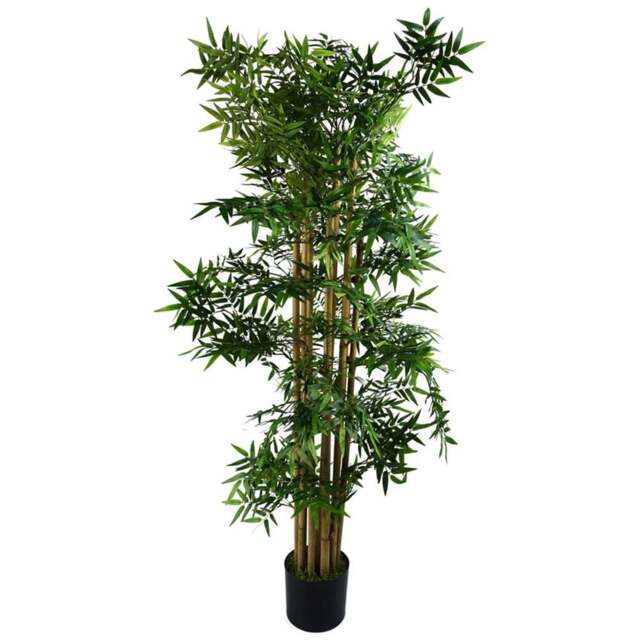 Leaf Bamboo Artificial Plant in Pot 150cm - Size: 150 x 70 x 70cm - Green - Wilko