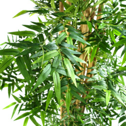 Leaf Bamboo Artificial Plant in Pot 150cm - Size: 150 x 70 x 70cm - Green - Wilko - thumbnail 3