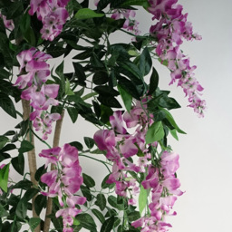 Botanik Purple and Pink Wisteria Artificial Tree in Pot 5ft - Size: 150 x 70 x 70cm - Wilko - thumbnail 6