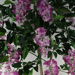 Botanik Purple and Pink Wisteria Artificial Tree in Pot 5ft - Size: 150 x 70 x 70cm - Wilko - thumbnail 3