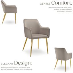 tectake Avane Set of 2 Taupe Velvet Look Padded Dining Chair - Grey - Wilko - thumbnail 7