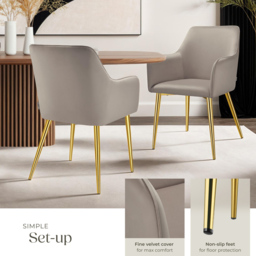 tectake Avane Set of 2 Taupe Velvet Look Padded Dining Chair - Grey - Wilko - thumbnail 5