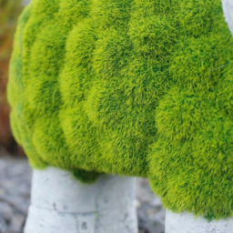 Marco Paul Resin Stone Sheep Garden Ornaments - Size: 40 x 20 x 15cm - Green - Wilko - thumbnail 5