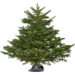 Klick-Fix Christmas Tree Stand - Wilko - thumbnail 4