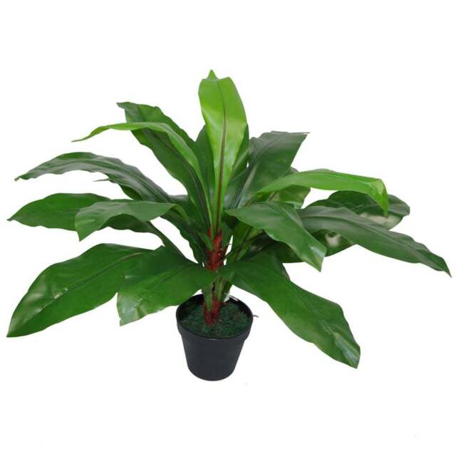 Leaf Birds Nest Fern Artificial Plant in Pot 60cm - Size: 60 x 60 x 60cm - Green - Wilko - image 1