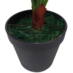 Leaf Birds Nest Fern Artificial Plant in Pot 60cm - Size: 60 x 60 x 60cm - Green - Wilko - thumbnail 4