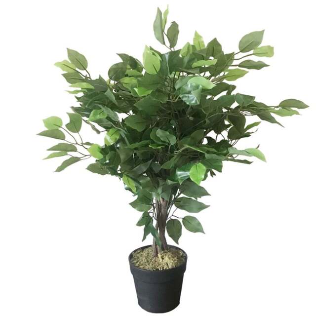 Leaf Bushy Ficus Artificial Tree in Pot 60cm - Size: 60 x 50 x 50cm - Green - Wilko - image 1
