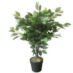 Leaf Bushy Ficus Artificial Tree in Pot 60cm - Size: 60 x 50 x 50cm - Green - Wilko - thumbnail 1