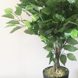 Leaf Bushy Ficus Artificial Tree in Pot 60cm - Size: 60 x 50 x 50cm - Green - Wilko - thumbnail 3