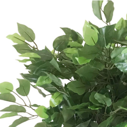 Leaf Bushy Ficus Artificial Tree in Pot 60cm - Size: 60 x 50 x 50cm - Green - Wilko - thumbnail 4