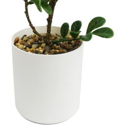 Leaf Aglaia Odorata Bonsai Ficus Artificial Tree 45cm - Size: 45 x 20 x 10cm - Green - Wilko - thumbnail 4