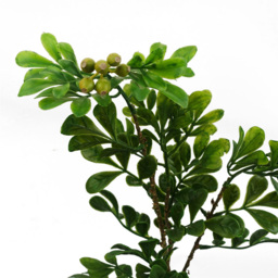 Leaf Aglaia Odorata Bonsai Ficus Artificial Tree 45cm - Size: 45 x 20 x 10cm - Green - Wilko - thumbnail 3