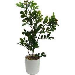 Leaf Aglaia Odorata Bonsai Ficus Artificial Tree 45cm - Size: 45 x 20 x 10cm - Green - Wilko - thumbnail 1