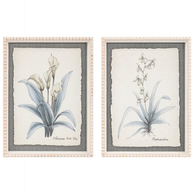 Flower Hand Sketch Effect Framed Art - Wilko - image 1