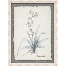 Flower Hand Sketch Effect Framed Art - Wilko - thumbnail 5