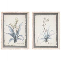 Flower Hand Sketch Effect Framed Art - Wilko - thumbnail 1