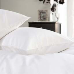 TLC Oxford White 1000TC Pillowcase Single Pack - Size: 50 x 75cm - The Lyndon Company - Wilko