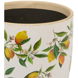 Lemon Egg Plant Pot 17cm - Wilko - thumbnail 3