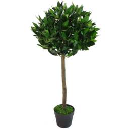 Leaf Bay Laurel Ball Artificial Tree with Natural Trunk 90cm - Size: 90 x 45 x 45cm - Green - Wilko