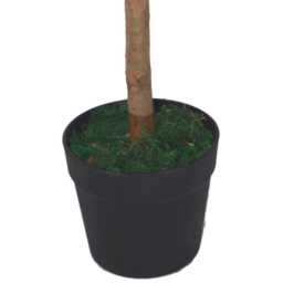 Leaf Bay Laurel Ball Artificial Tree with Natural Trunk 90cm - Size: 90 x 45 x 45cm - Green - Wilko - thumbnail 3