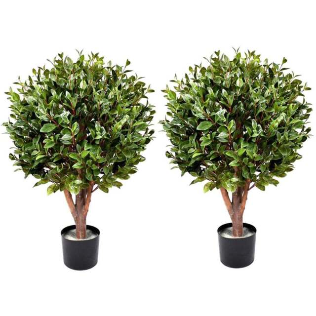 Leaf Artificial Gloxinia Ball Topiary Tree with Natural Trunk 90cm 2 Pack - Size: 90 x 50 x 50cm - Green - Wilko - image 1
