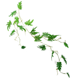 Leaf Philodendron Hanging Artificial Plant 100cm 6 Pack - Size: 100 x 30 x 20cm - Green - Wilko - thumbnail 3