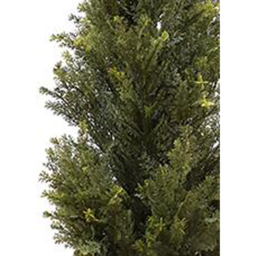 Leaf Natural Look Cedar Artificial Tree in Pot 4ft - Size: 120 x 40 x 40cm - Green - Wilko - thumbnail 4
