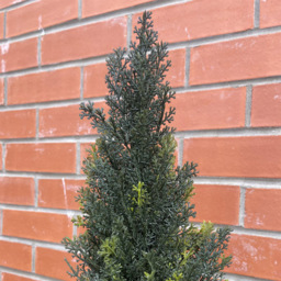 Leaf Natural Look Cedar Artificial Tree in Pot 4ft - Size: 120 x 40 x 40cm - Green - Wilko - thumbnail 6