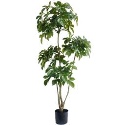 Botanik Radermachera Artificial Tree in Pot 5ft - Size: 150 x 70 x 70cm - Green - Wilko - thumbnail 1
